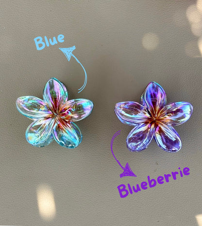 Flowers Colors