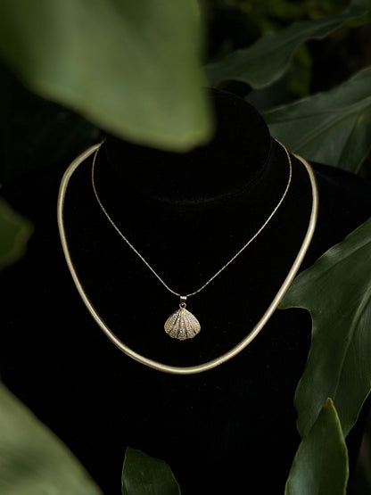 Coral