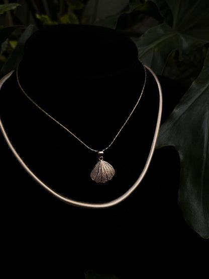 Coral